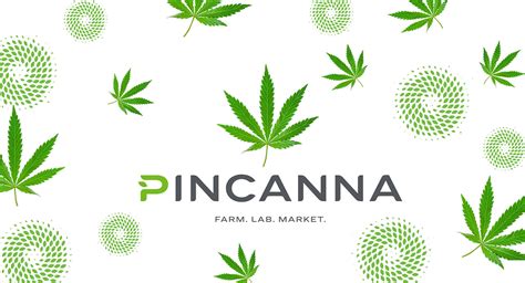 pincanna kalamazoo|pincanna cannabis.